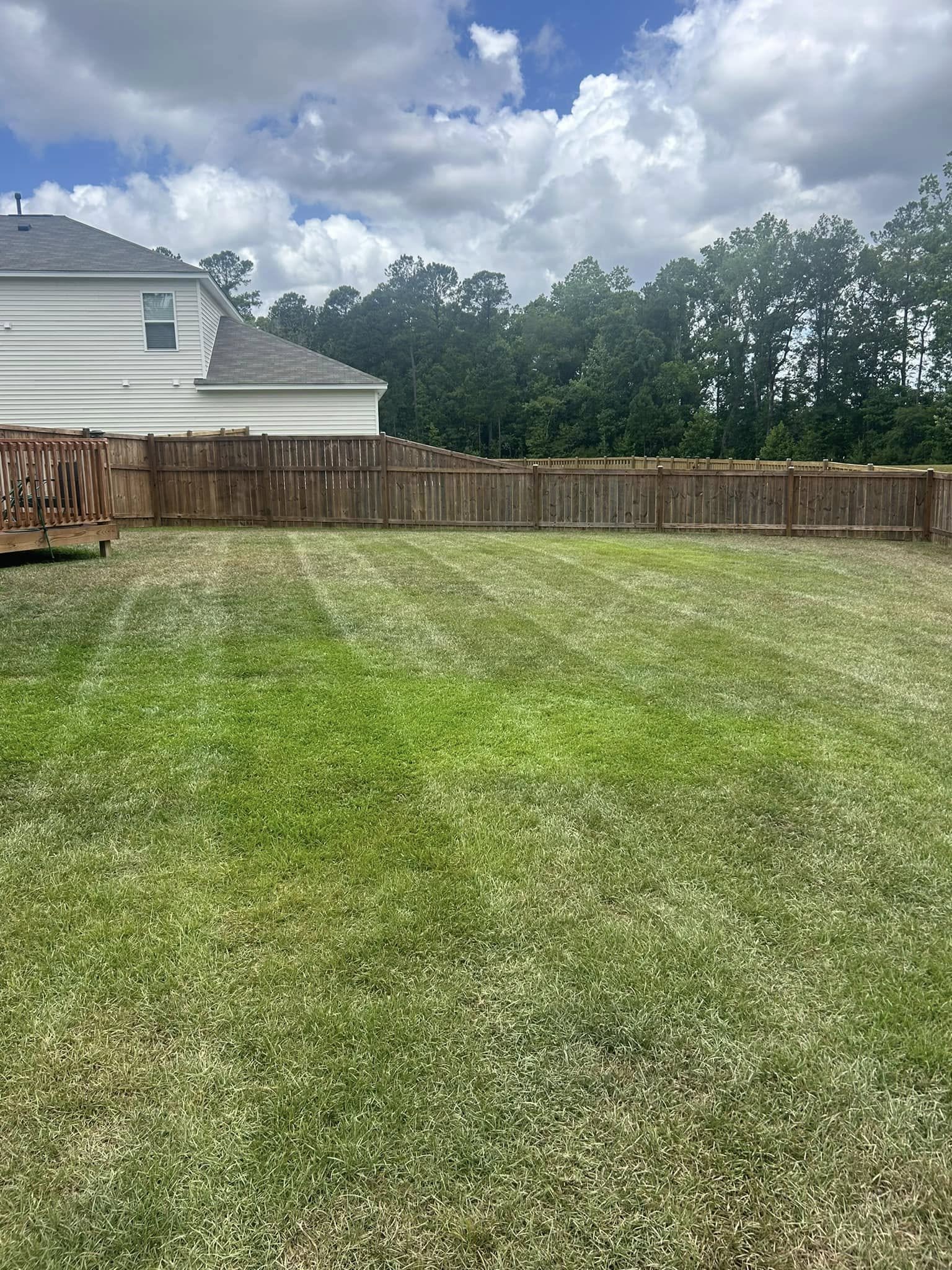 Lawn care project 1